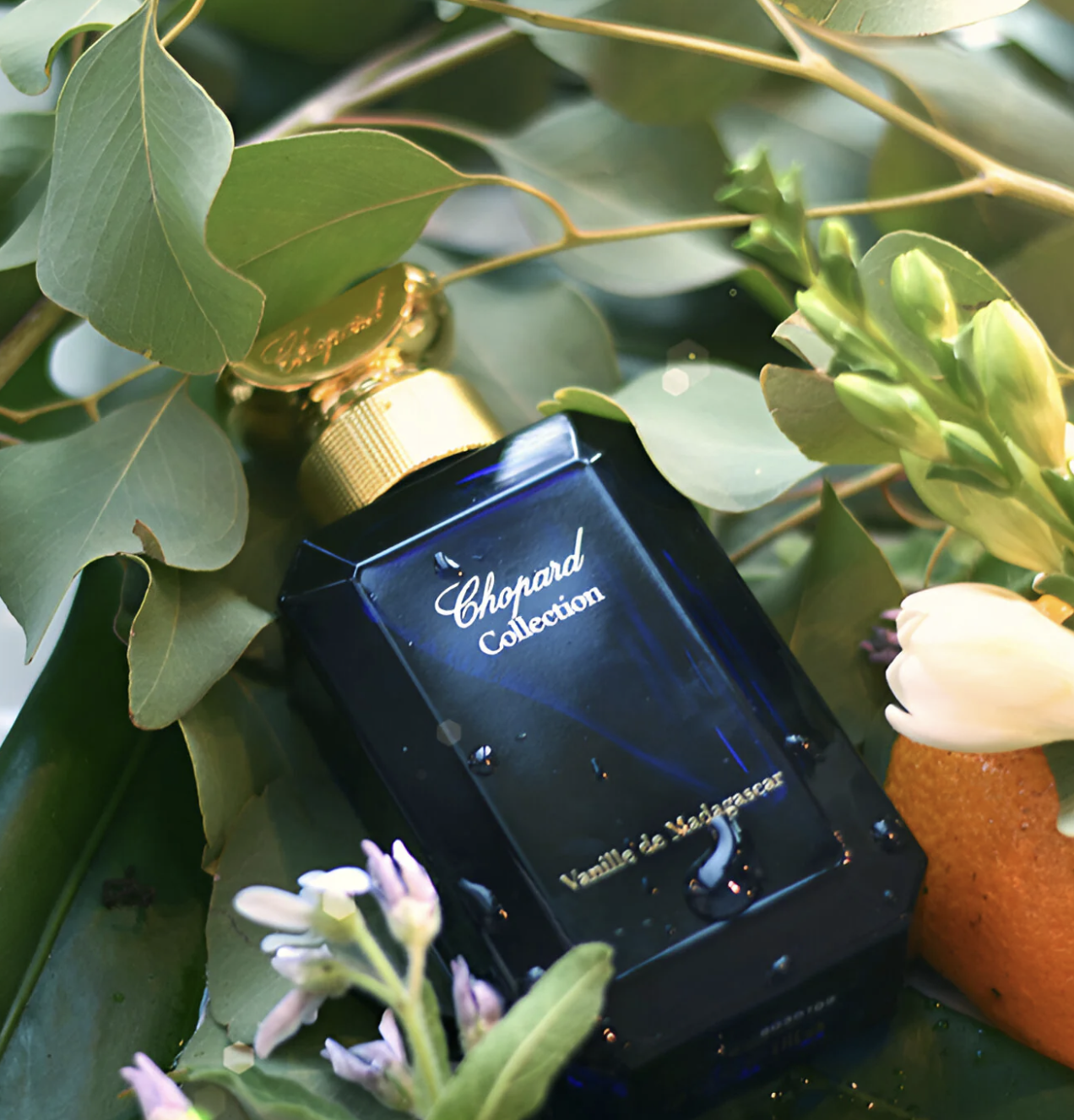 Chopard Gardens of the Tropics Vanille de Madagascar 100 ml